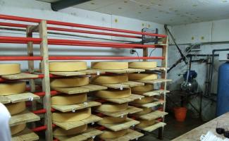 Организация производства сыра (на примере твердого сорта) — перспективный и постоянно совершенствующийся вид бизнеса Оборудование для цеха сыроварни