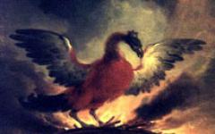 Symbolika mitycznego ptaka feniksa Czy istnieje ptak feniks?
