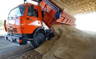 Poslovni plan za uzgoj pšenice: naučite raditi za sebe